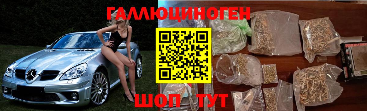Карталы  Псилоцибиновые грибы MAGIC MUSHROOMS  Вход с VPN 